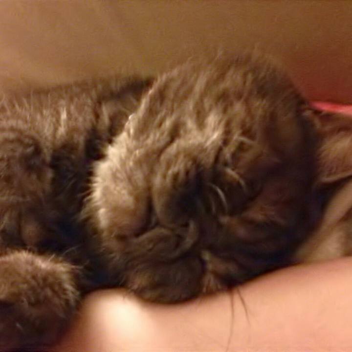 8cae8093 8253 4f10 ac03 d796f0c1d321 1528715040082