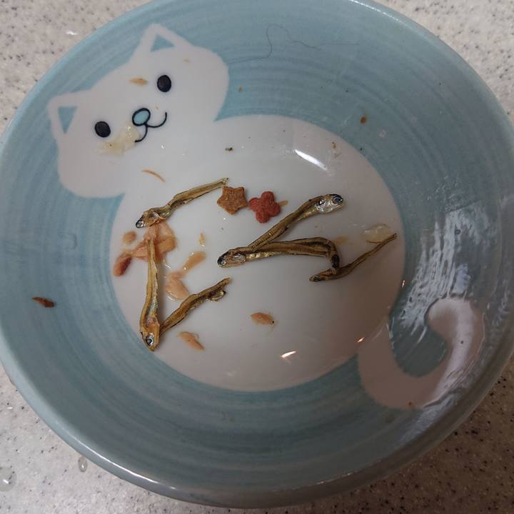 8cae91d4 6871 4fa5 9f6e 46452622a58f 1708338565694