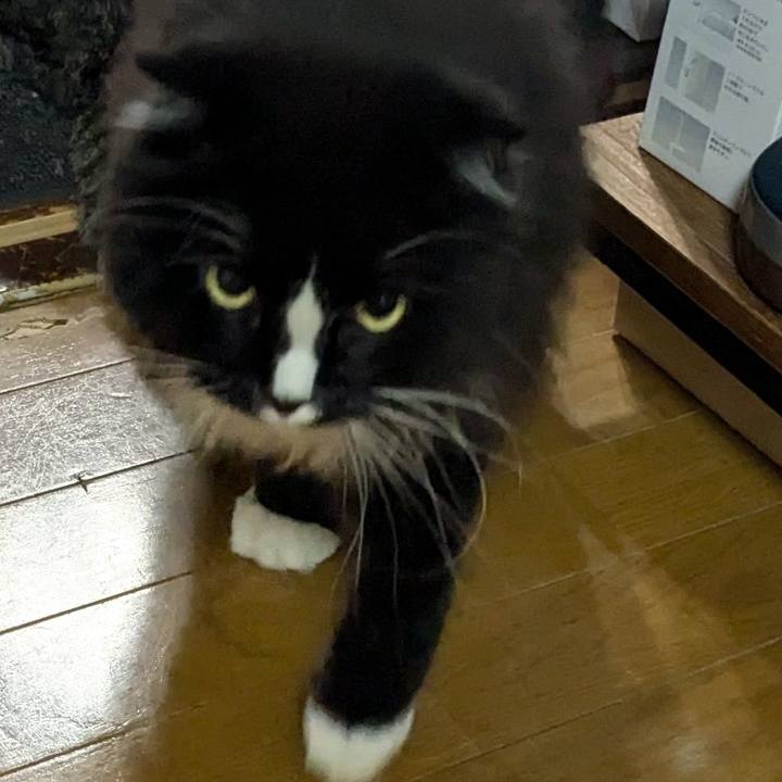 8cae99d9 8d4c 4e31 9e5f 3aa29caa7e8d 1724241181099