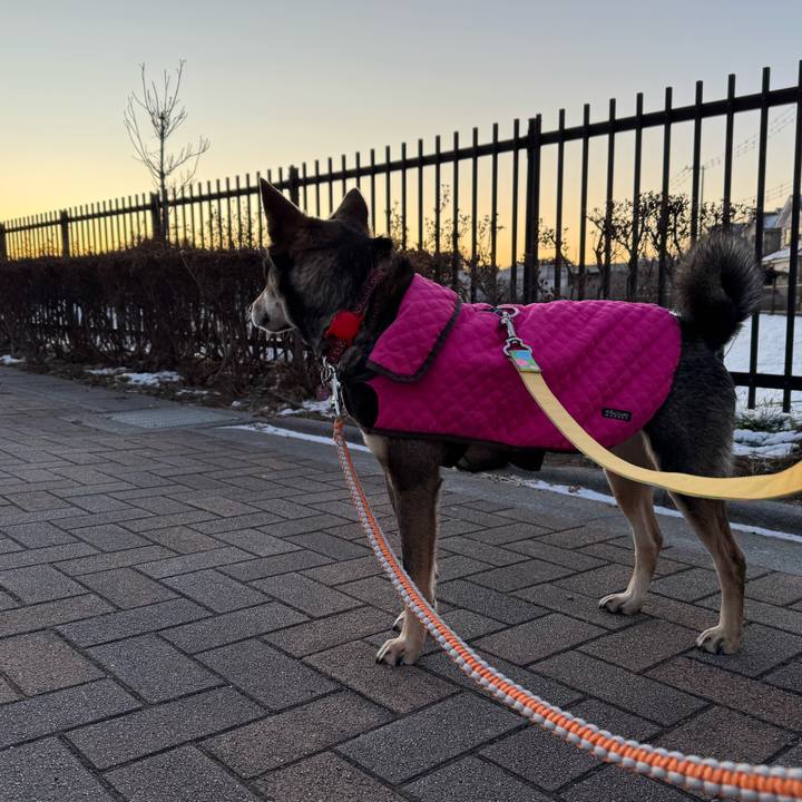 8caeb093 2c5a 404b 8495 54b0fcfbad23 1770600129649