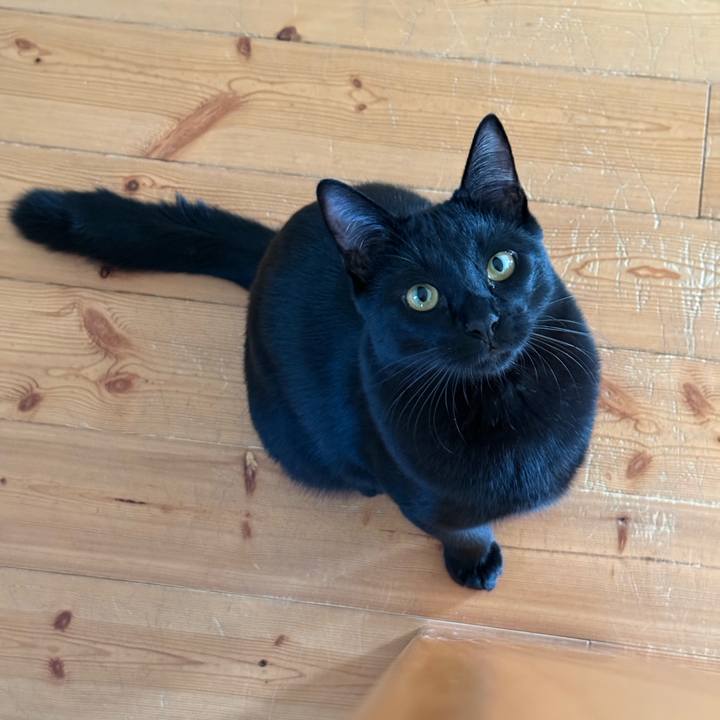 8caeef14 778d 4bd5 8c50 33310e1b2c39 1768089741065