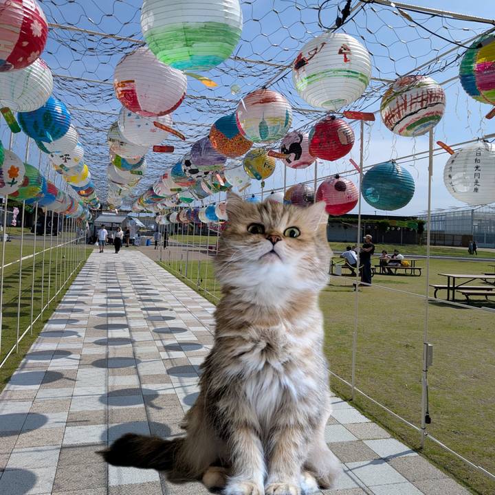 8caf3900 a68c 4f61 9ecc cf8bf709421b 1752472407365