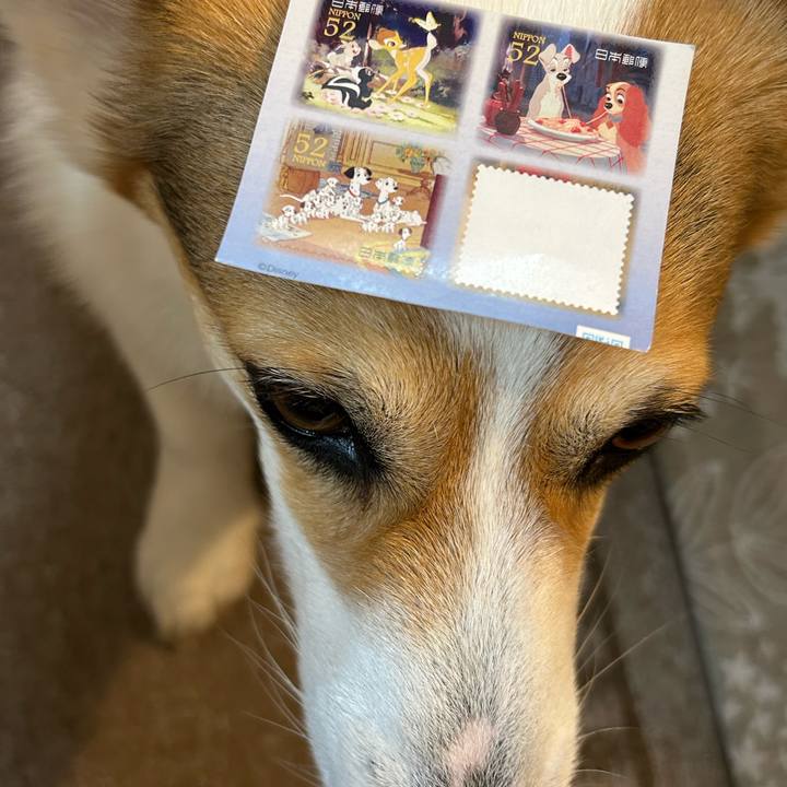 8caf963d ff4c 4d3e a6d1 047a827d4523 1776605143722