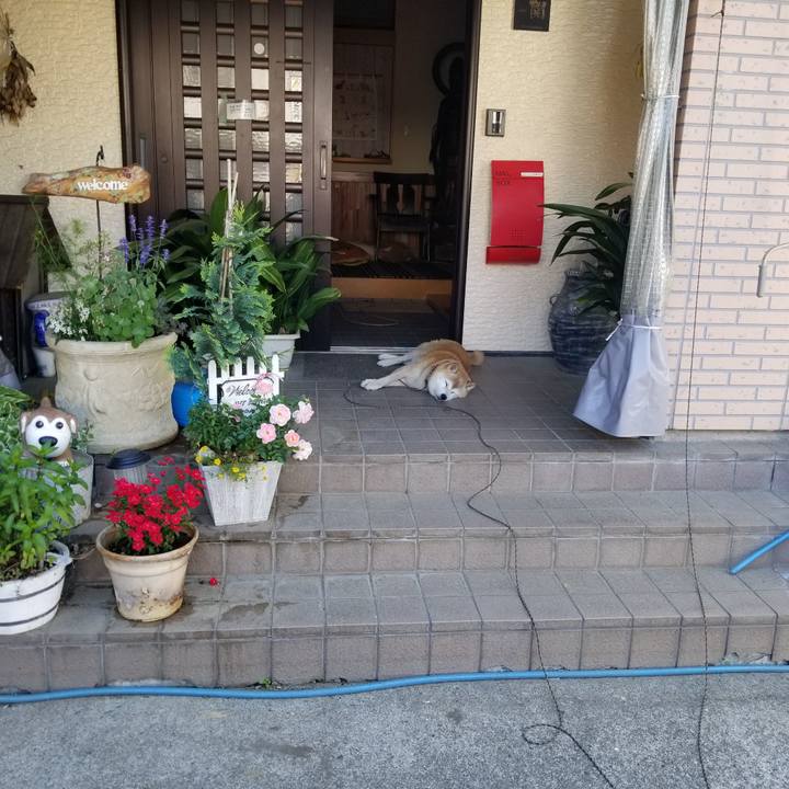 8cafda8b a3a1 44c5 929d 1fb0a945b60b 1718500557910