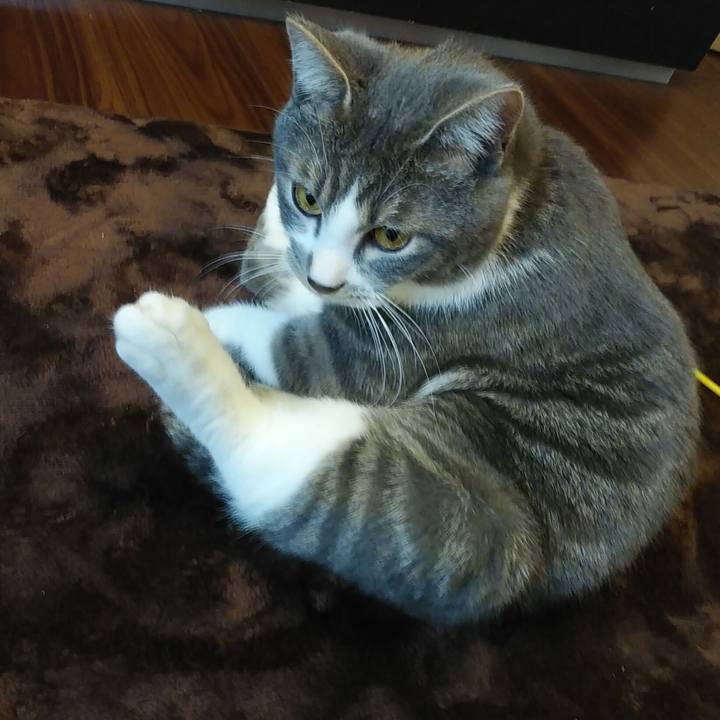 8cb01e21 19c9 4de6 9b4e 3f5d50501c24 1576556889188