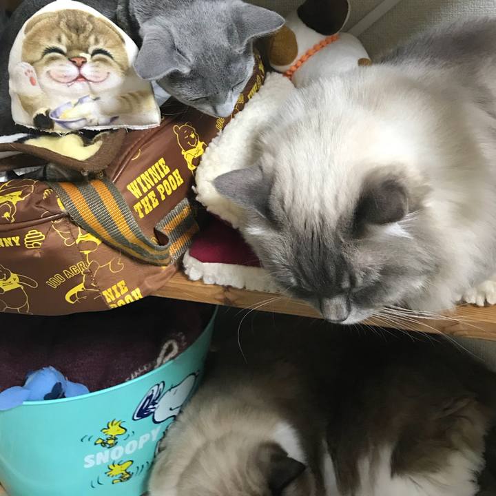 8cb025f3 dd58 4bd8 827c 3416e9965108 1510412385275