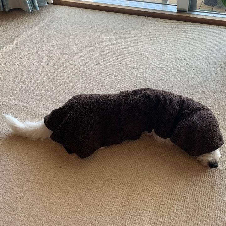 8cb0645c 39ca 4bc7 a3ff 7f85bc7c3ea0 1773456131145