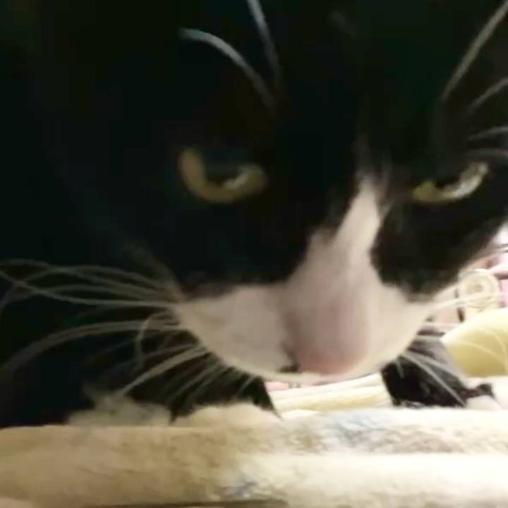 8cb08088 a96d 4b55 ad41 403392e754f1 1733047140668