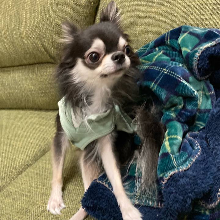 8cb09035 4fc5 4d7c b2a8 d37602cb9164 1667741415847