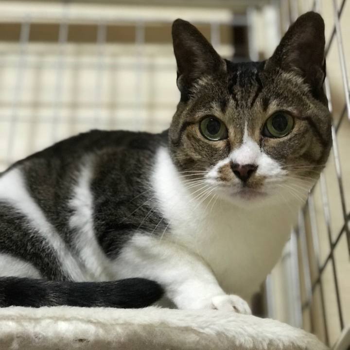 8cb09465 38fe 48b0 a7c5 7cffbe154a97 1514331650676