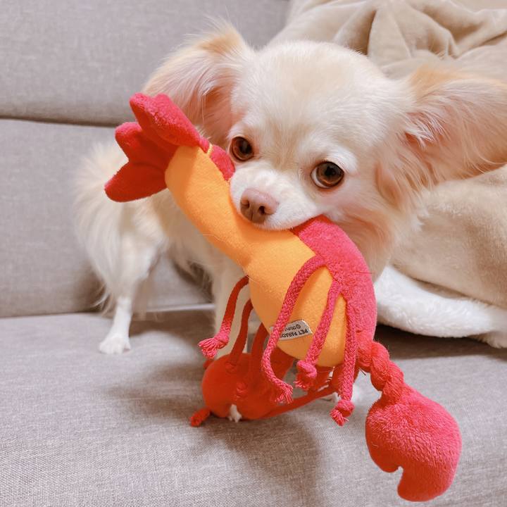 8cb0b6ba a776 4e8c a043 2aeed89f3ad6 1666527524560