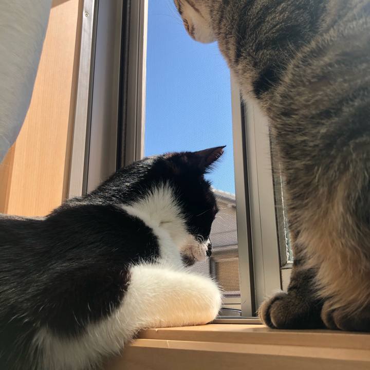 8cb0e761 1359 4640 b63c be047582ea35 1586326125230