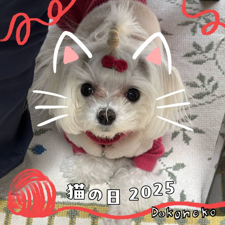 8cb132fa 112e 495e 9b08 38ed494a30c5 1740322479884