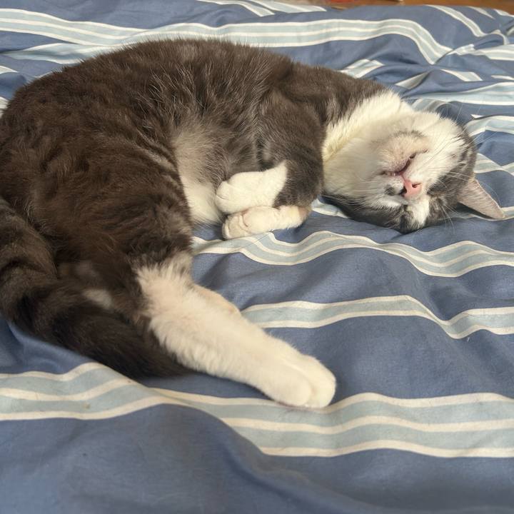 8cb1343d 3d37 45d1 adbb acdea39d6f6f 1758535368259