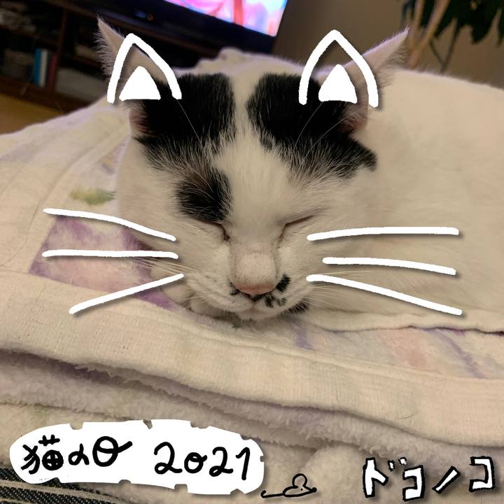 8cb1350b 5857 46cc 88ae 4b8d3b226d19 1614000896604