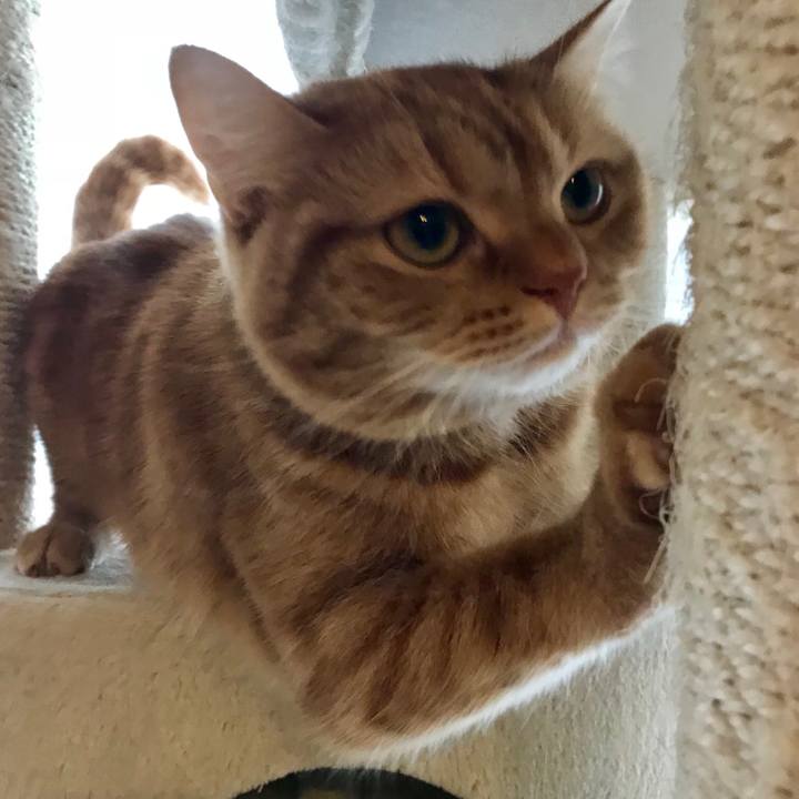 8cb13a3c 1c2e 46b6 8771 280a2a83440d 1516575196653