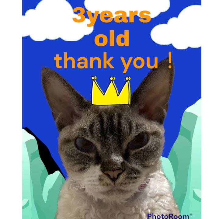 8cb15410 38f2 48e2 8c49 fbbd26c31764 1669249218721