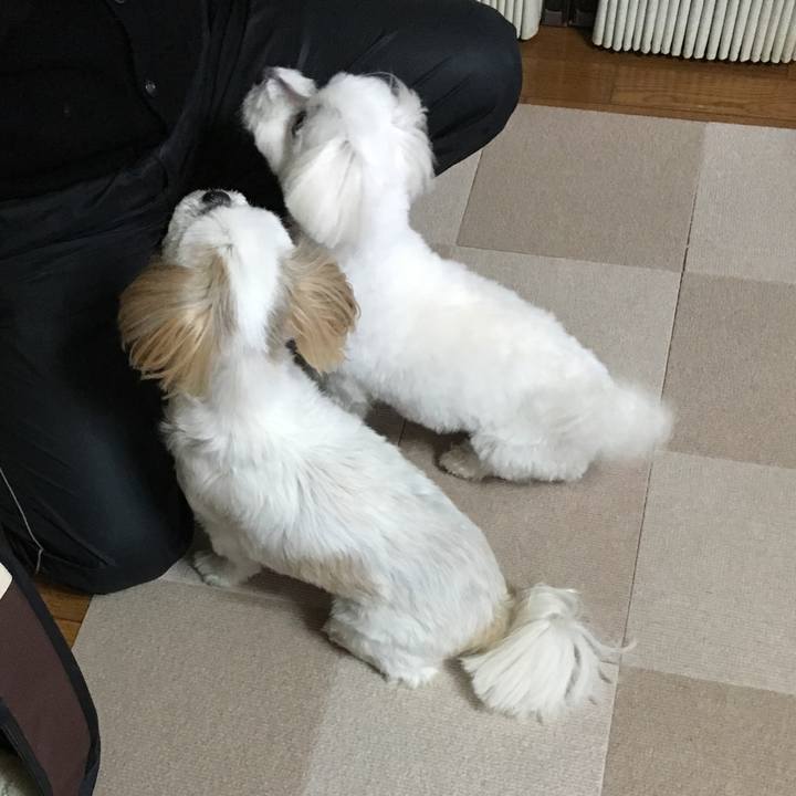 8cb1782b 40c7 4c3c 90c6 5b94b46e77a3 1574853733906