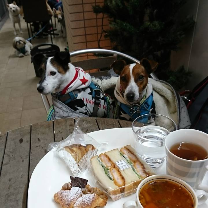 8cb1787b 23d4 4dd7 9694 b0b853bea73f 1607487066624