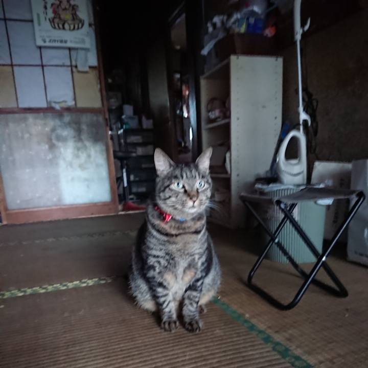 8cb18cca 7342 4ae9 868a 4f10781301ef 1662670813592