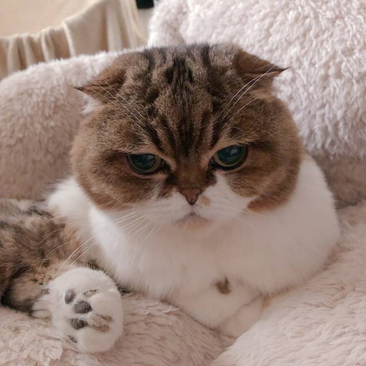 8cb1b85e e454 425a bf28 fd1d8c977965 1552966017539