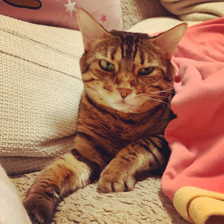 8cb1ebbd 8b82 4317 a953 9f75ac0ec20e 1601767806632