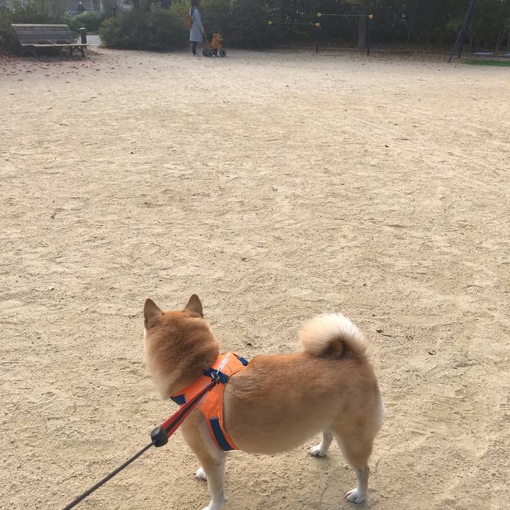 8cb21259 ca7f 4baa af07 2c414e3fb464 1543386374959