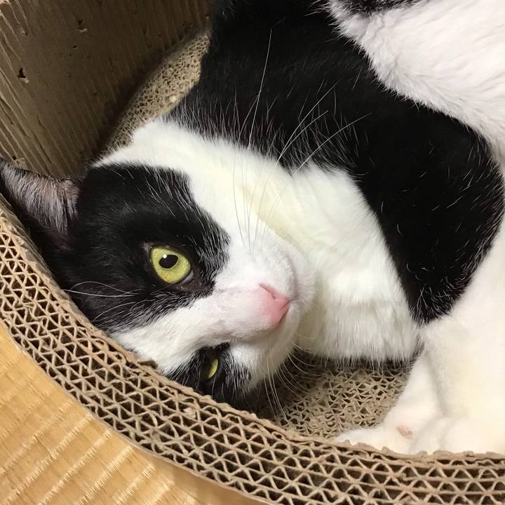 8cb26472 f442 4f8f 9502 955d62652ff8 1722762554415