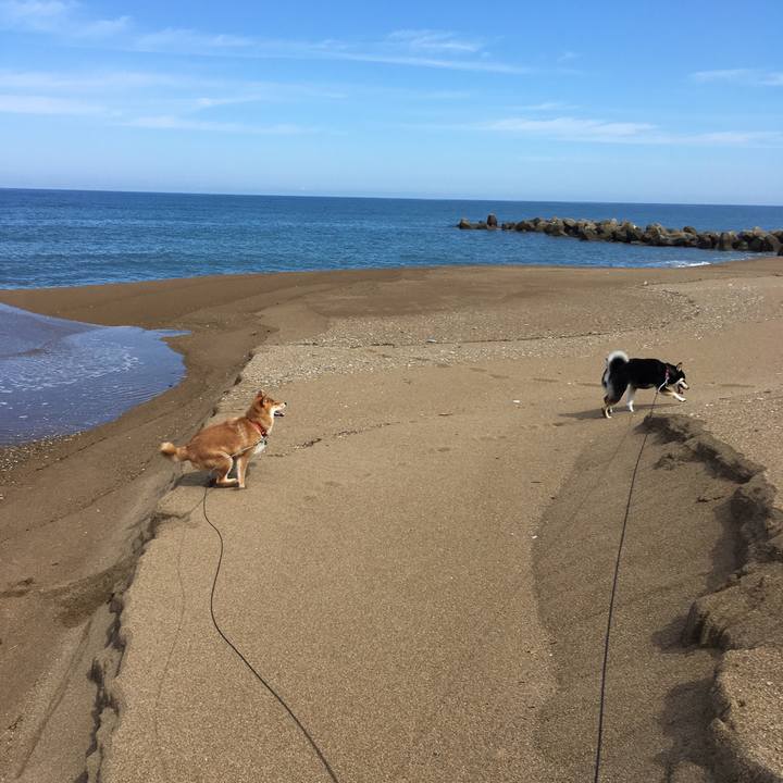 8cb26dd3 7b9c 4355 b402 922e616e7cdf 1535870544272