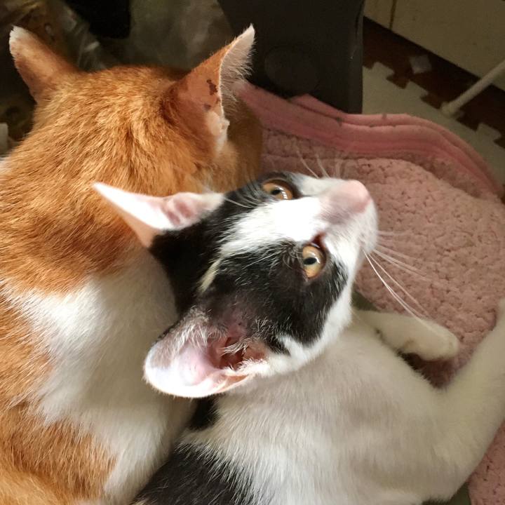 8cb28c7c 6b52 4a47 a5d8 748ad6d16fd2 1629785280046