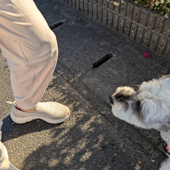 8cb29253 9259 48ea bbee 449f8719eb12 1755949054299