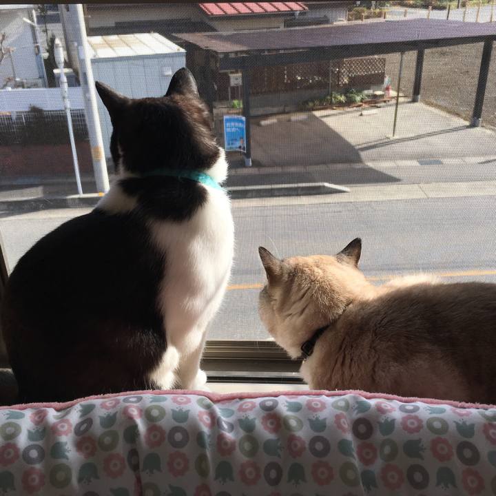 8cb2b391 e116 4fa0 a5e5 a722ae5dc082 1520295038344