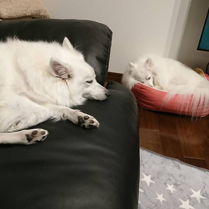 8cb2ed41 f371 45d2 8c02 0b3612870d70 1611812126357