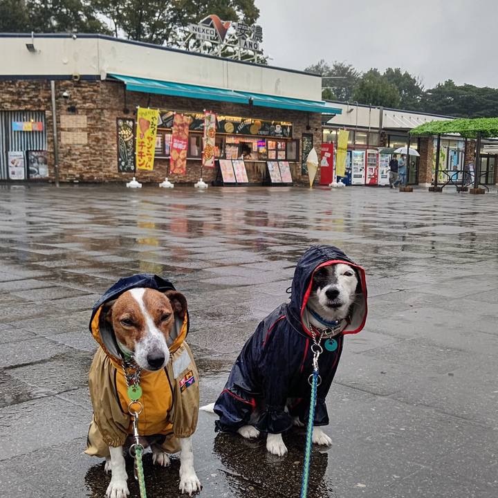 8cb30487 d7e9 4b57 8737 923e4264dab9 1663893835722