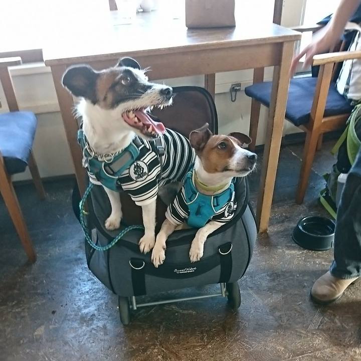 8cb3416f 3fbe 4abf 9cde 794a7ae2c7f0 1580381959134