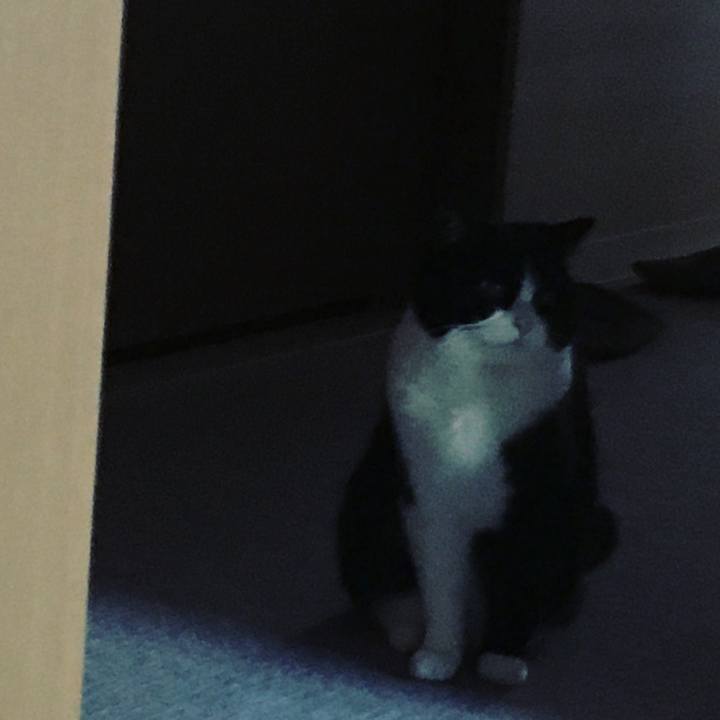 8cb394d6 1f1b 43fd b1dc 72c58f4af7c7 1627858271291