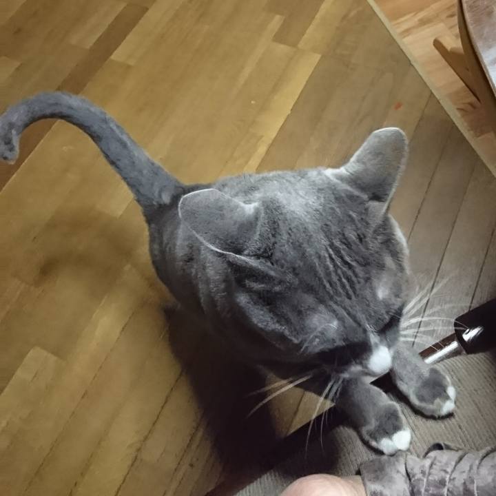 8cb3bd71 9246 483a 9663 09a57b907032 1510039269988