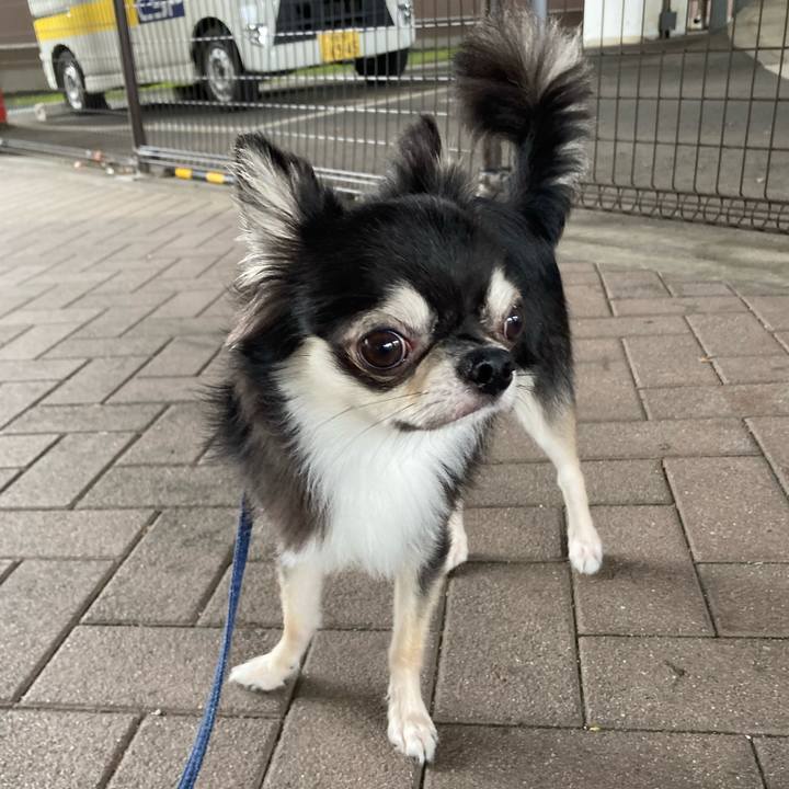 8cb3dbe7 3754 4ee0 8b38 9e5df8bacdf5 1628827060685