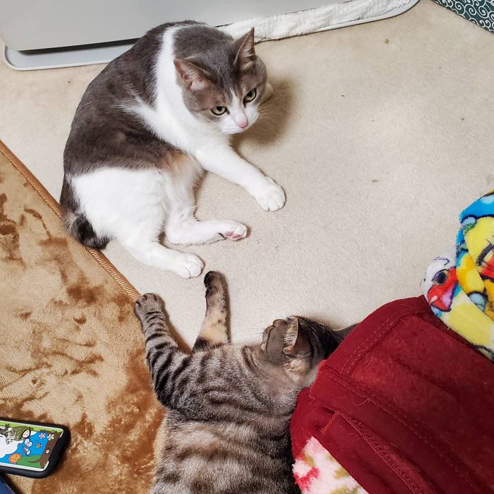 8cb3f6d9 c420 4699 9670 2b464db9e0e6 1710746341704