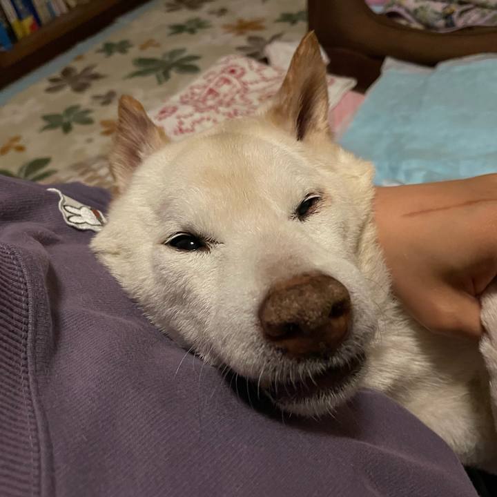 8cb3f724 b74f 4ae3 828e 62d5c3d9c681 1678292439955