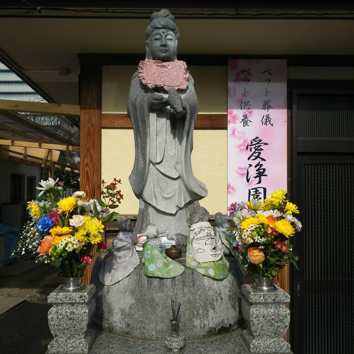 8cb3fa74 feff 4c0f aa45 cb6e8a33a670 1514362612525