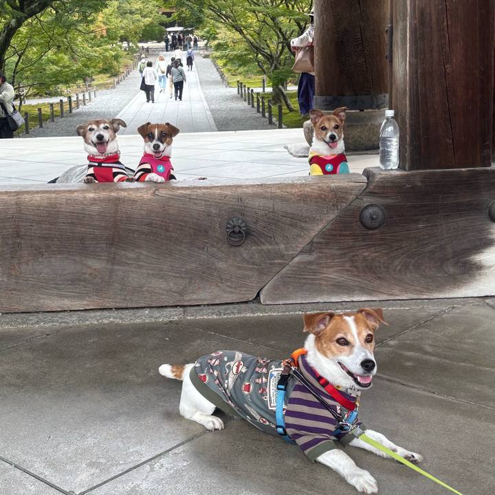 8cb411ee 0b65 46b1 a27e 6ef1d4dba934 1761130959873