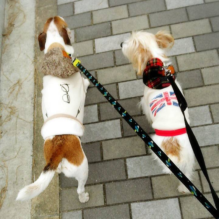 8cb41a4c fdf4 4caa b8b3 5ad18ac57a54 1519545916577