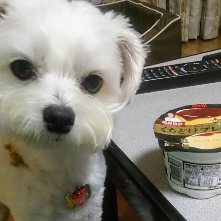 8cb43d7a 667e 4174 b82e 774438ce848d 1507378436192