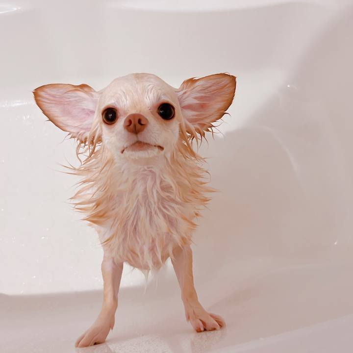 8cb49f2a 9e67 4ffe 933d 4e8e5816f181 1661926200368