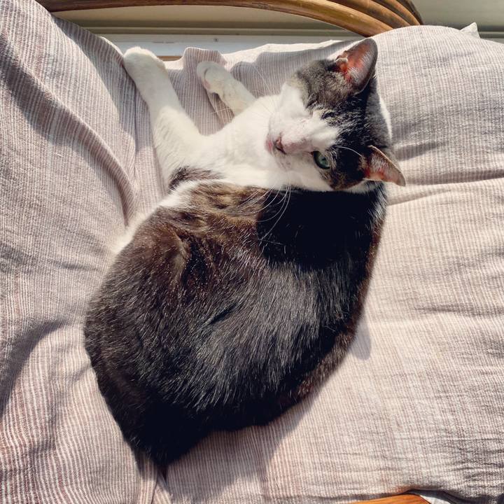 8cb4a431 4797 4230 833c 2adbe1558c73 1591138581941