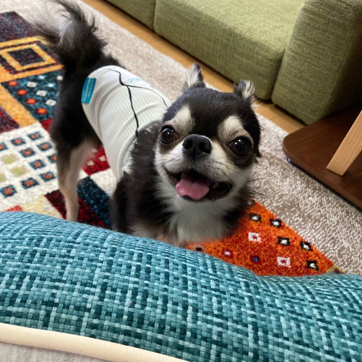 8cb4adde 8883 423e ba93 cb7879e71ee4 1683387997396