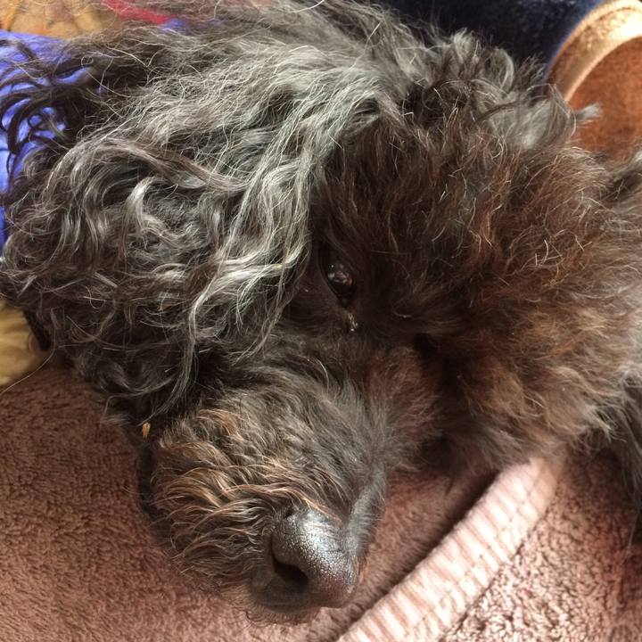 8cb4d70f 7b15 4123 a363 86b8fe44432a 1511062354867