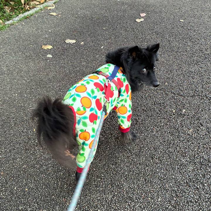 8cb4dc51 6569 4415 9ba8 e92ef9ec3fc7 1764805954698