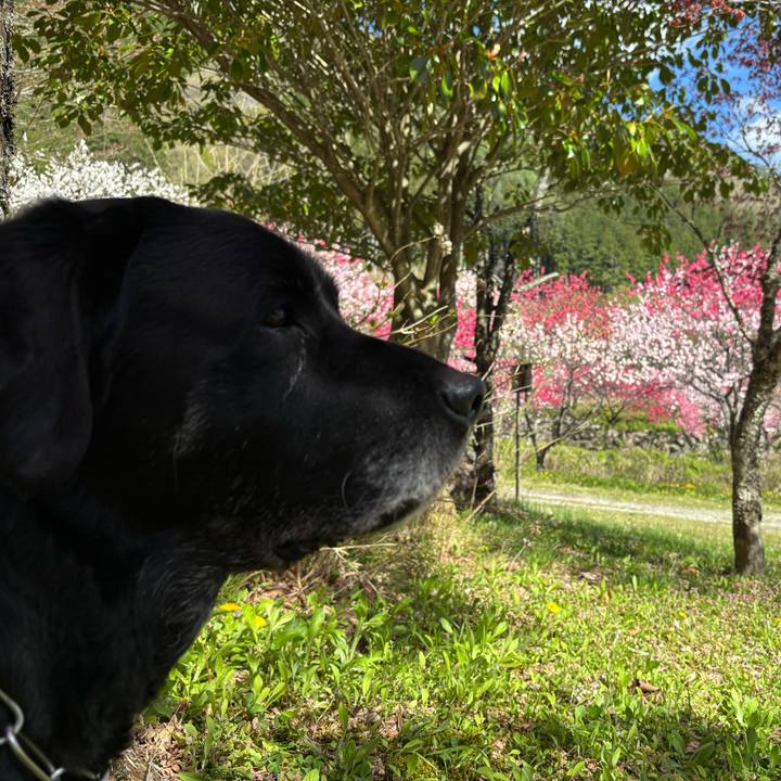 8cb5ef69 fe88 4cfe af97 164bbb572adb 1777087288712